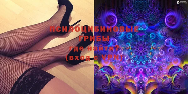 PSILOCYBIN Бердск