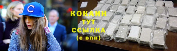 бошки Бородино