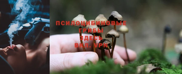 гашиш Артём