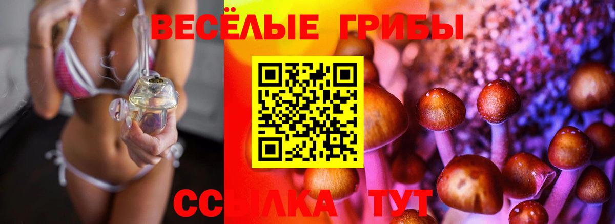 Благовещенск  Галлюциногенные грибы GOLDEN TEACHER  Вход с VPN 